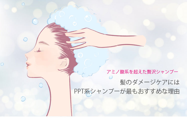 髪のダメージケアにおすすめなPPT系シャンプー・トップ画像